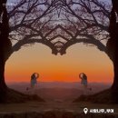 사랑나무 이미지