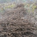 금주농장 이미지