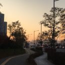 보곤다 이미지
