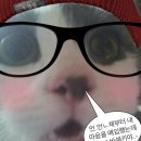너의쉼표