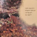 빛솔서점 이미지