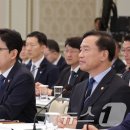 보고