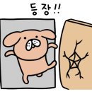 붐헤어샵 이미지