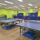 플레이 팡팡 이미지