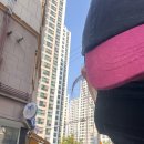 대연약국 | 정신병원 가는 blog