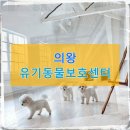 에이플동물병원 | 14살 노견의 치매 의왕 유기동물보호센터에서 데려온 그날의 선택이 오늘을 만든다