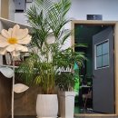 팡팡스크린골프 이미지