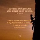 태장청학복싱&무에타이 이미지