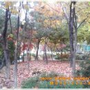 목양 약국 이미지