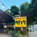도장농장 | 광교역맛집 도장깨기 #3 광교산 백운주말농장 후기