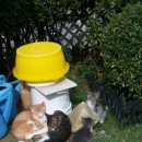 옹기종기 이미지