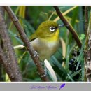 자연 메디칼 이미지