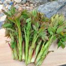 느티나무2농장 이미지