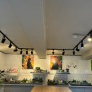 센텀시티의원 이미지