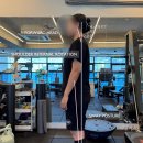 물리치료사의 바디포스쳐 PT | 반여동 ‘물리치료사의바디포스쳐PT’ 체험 후기｜해운대PT·체형교정