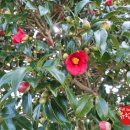 지호민박 이미지