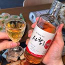 라스트춘선 안양 이미지