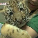 미호농장 이미지