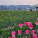 (주)시래기밥상 이미지
