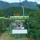 ㈜미리내 | 서울대공원 동물원 리프트 입장료와 할인 팁