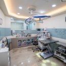 누리동물병원 이미지