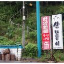 대종주유소 티스토리