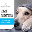 진접동물병원