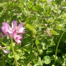 모서동물병원 이미지