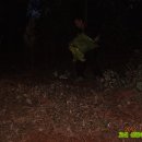 고실농장 이미지