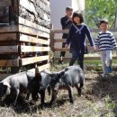 함양돼지국밥 이미지