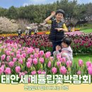 해미시장 | 서산 해미읍성 분식 맛집 시장 분식