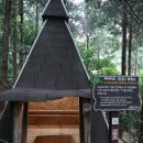나폴리농원, 통영 가볼만한 곳으로 추천하는 편백나무 숲 맨발 체험
