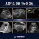 서울베스트의원 이미지