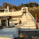 머피하우스애견샵 | 카페109하우스 애견동반가능 (인천 강화군 양도면 건평리)