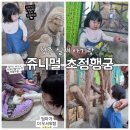 거북이 주유소 | [청주여행] ☔️ 비 오는 날 아기랑 실내 놀 만한 곳 <쥬니멀 초정행궁점> 내돈내산 후기(feat. 14개월 아기)