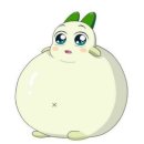 카라피시방 | 어제보다 더 널 사랑할 거야!