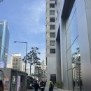 명동에너지 | 명동 피부과 올타이트 리프팅 효과 솔직후기