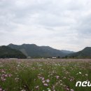 구룡천1 이미지