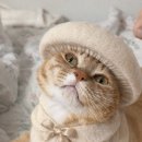 무심골 캠핑장 이미지