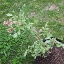 애들아범펜션 이미지