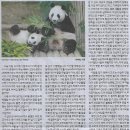 이경자 - 포항시남구 | 이경자