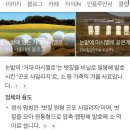 문학&생명관 | 구례하동 2박3일 여행 : 최참판댁, 여명가든 녹차오리고기 꼭 드셔봐