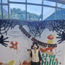 창도 | 창도 빅북 포토존 인증샷 후기