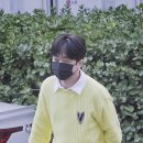 화사하다 이미지