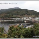 대항새바지 이미지