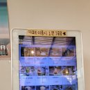 어반제주 티스토리