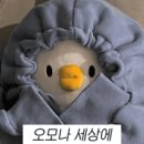 일로와호텔 | 제주도 | 중문 파르나스 호텔 구관 디럭스 패밀리 마운틴뷰 후기 (수영장, 조식)