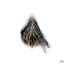 이효석길 이미지