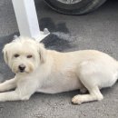 개도사랑펜션 이미지