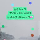 [심화과정] 심리 명리학 이미지